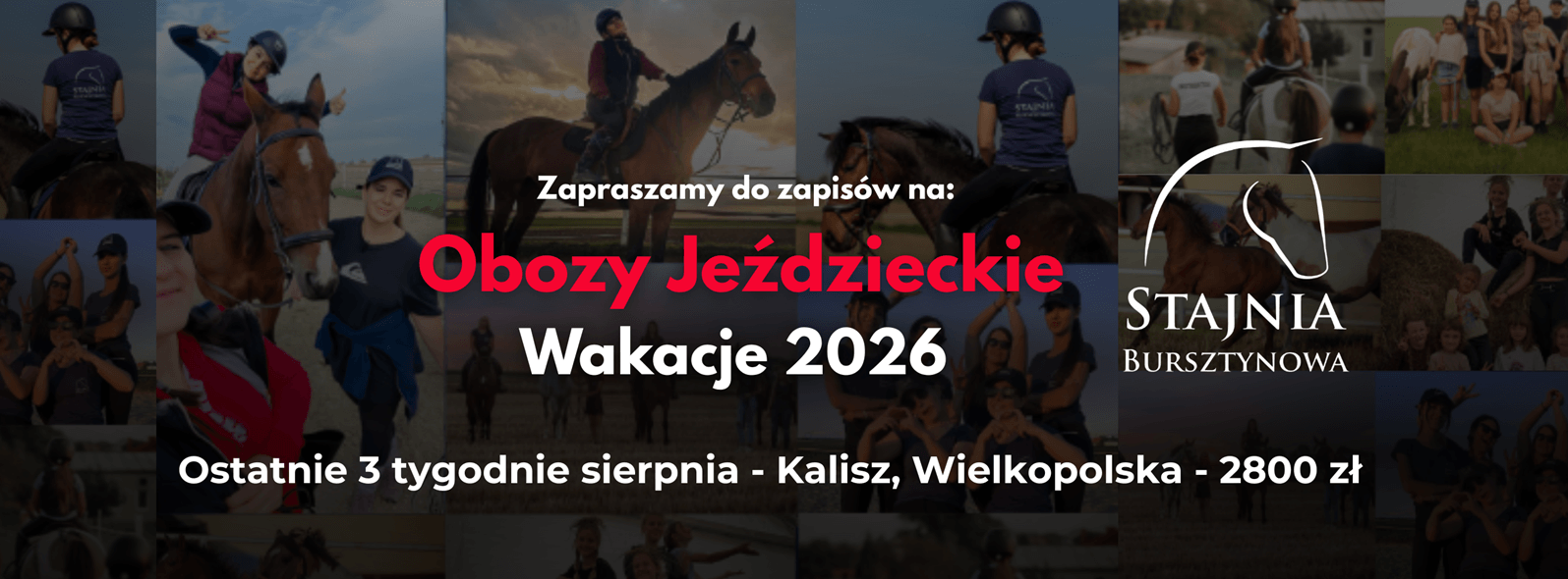 Obozy Stajnia Bursztynowa 2026
